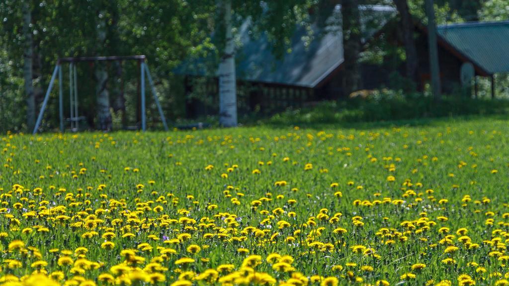 Rajan Loma Cottages Joensuu Kamer foto